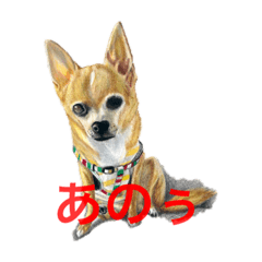 [LINEスタンプ] 愉快な動物画