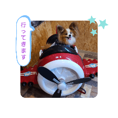 [LINEスタンプ] ぱぴぱぴパピヨン22