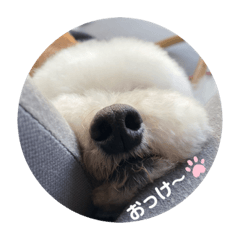[LINEスタンプ] CRJV