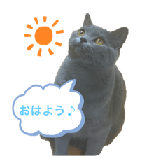 [LINEスタンプ] まるちゃんの日常会話①