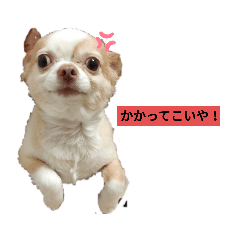 [LINEスタンプ] えんちぃスタンプ