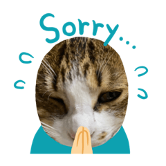 [LINEスタンプ] 猫のスタンプ2021
