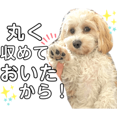 [LINEスタンプ] 世渡り上手編【ちゃっかりワンコ】