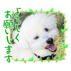 [LINEスタンプ] オレはプー8