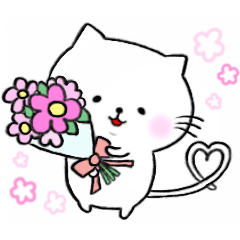 [LINEスタンプ] 基本の敬語・丁寧語♪ゆるねこの可愛い日常