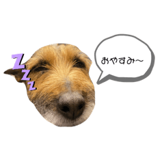 [LINEスタンプ] sprout のスタンプ