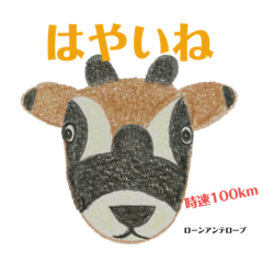 [LINEスタンプ] nanda zoo cookiesスピードと穏やかさ