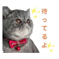 [LINEスタンプ] だいとと