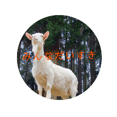 [LINEスタンプ] ピクニカスタンプ