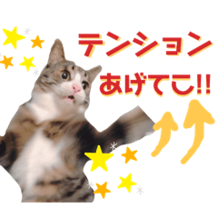 [LINEスタンプ] かぎさんと紫苑 8
