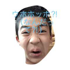 [LINEスタンプ] ゴリラスタンプだよーん