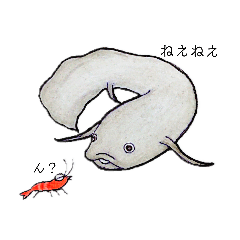 [LINEスタンプ] ハイギョと仲間達