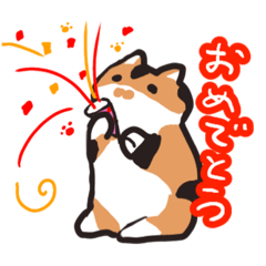 [LINEスタンプ] ふじこちゃんのゆるゆるスタンプ