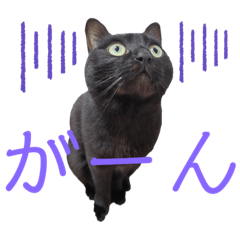 [LINEスタンプ] びびりのびびちゃんスタンプ