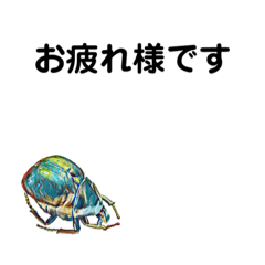 [LINEスタンプ] 会社の虫_良い意味で