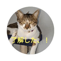 [LINEスタンプ] おスピ〜劇場版