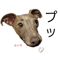 [LINEスタンプ] イッヌと。4