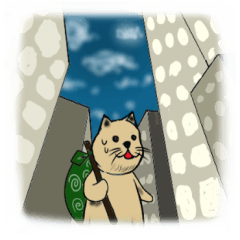 [LINEスタンプ] 普通の日常がいつも冒険 旅猫スタンプ！