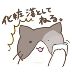 [LINEスタンプ] 汎用性高い！？ハチワレねこスタンプ2