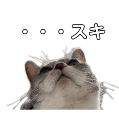 [LINEスタンプ] ぺぺの小言