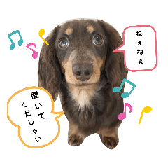 [LINEスタンプ] あたちの日常スタンプでしゅ