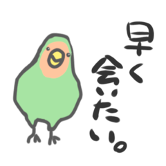 [LINEスタンプ] コザクラインコのぽーぽーぽぷこ