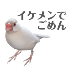 [LINEスタンプ] うちのおこめさん