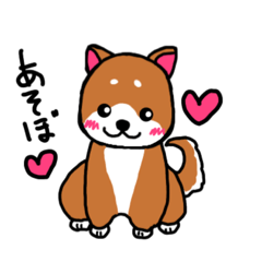 [LINEスタンプ] 柴犬ちゃん(黒✖︎茶)