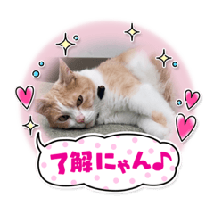 [LINEスタンプ] MIUの休日