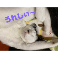 [LINEスタンプ] ジュリ＆ココ NO.1