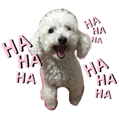 [LINEスタンプ] 自己満愛犬
