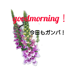 [LINEスタンプ] 写真を使って（33）の画像（メイン）