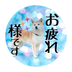 [LINEスタンプ] ももちゃん02