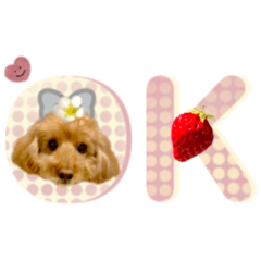 [LINEスタンプ] ゆる筆♡ペット いちご モカちゃん