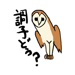 [LINEスタンプ] 飼いたいフクロウスタンプ(2)