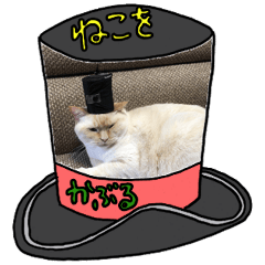 [LINEスタンプ] 髭袋猫日