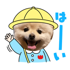 [LINEスタンプ] ポメラニアンもっちー