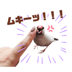 [LINEスタンプ] うちのもちおさんと仲間たち