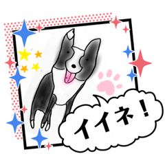 [LINEスタンプ] N DOGS