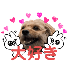 [LINEスタンプ] ポメプー くるんちゃん4