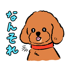 [LINEスタンプ] トイプードルのプリたん