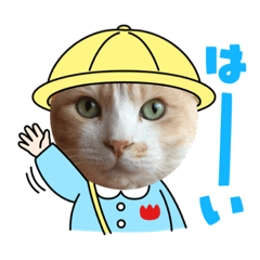 [LINEスタンプ] ニャンコ劇場