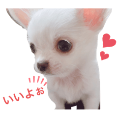 [LINEスタンプ] しじみの日常♡