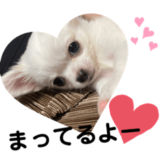 [LINEスタンプ] しじみちゃんの日常♡2