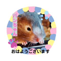 [LINEスタンプ] 我が家の可愛い大家族 (第2弾)