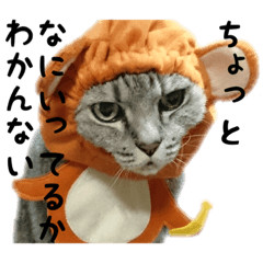 [LINEスタンプ] うちにゃんずの日常②