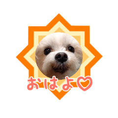 [LINEスタンプ] 我が家のアイドルみく