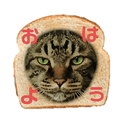 [LINEスタンプ] じゅに様。