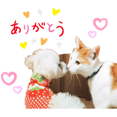 [LINEスタンプ] うちの子スタンプver.3