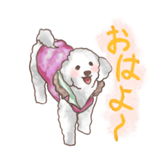 [LINEスタンプ] ふわふわトイプードルくるみ